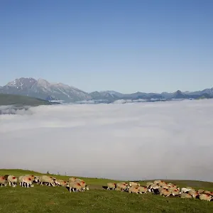 hotel-le-viscos.midi-pyreneeshotels.com/
